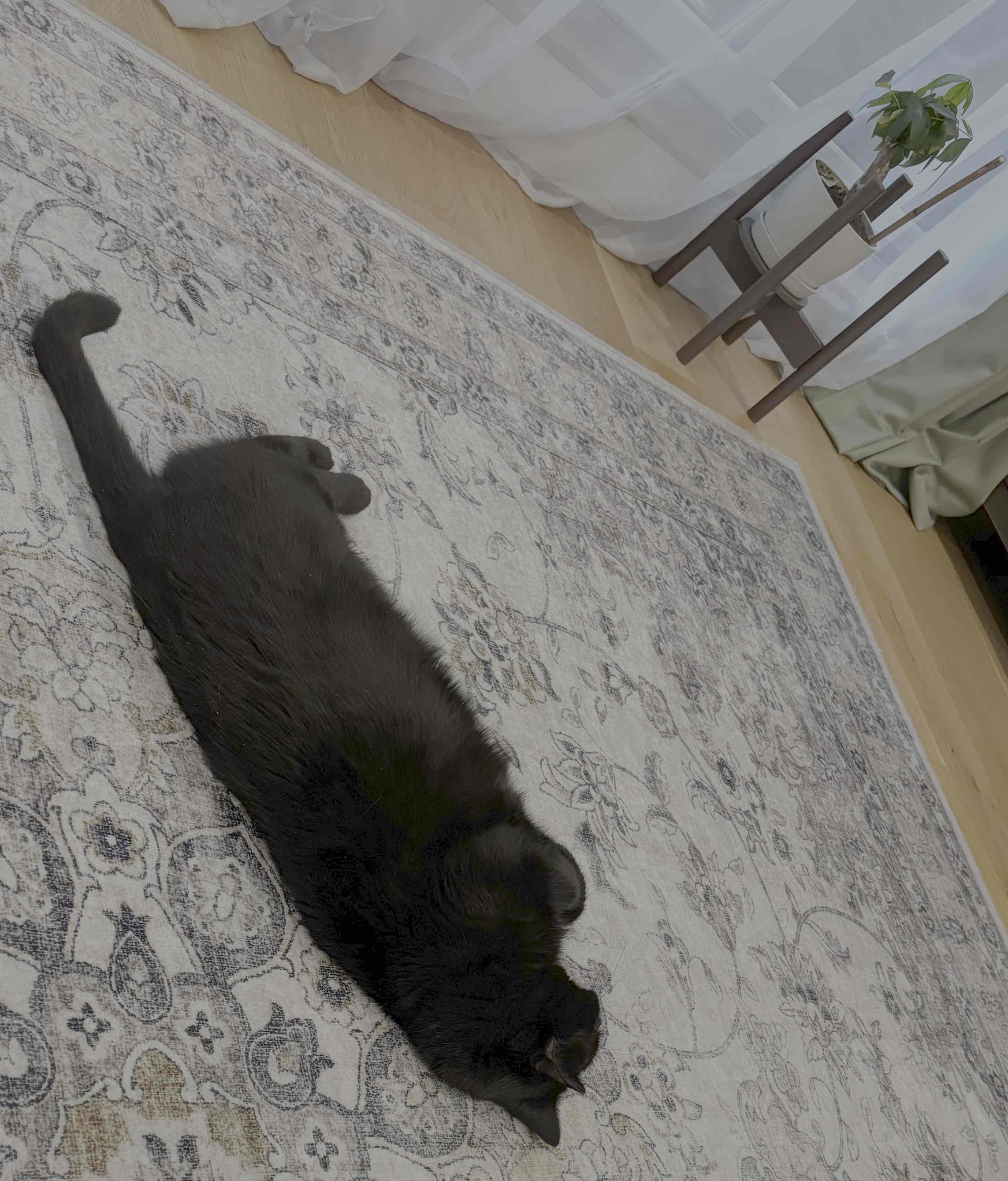 Max